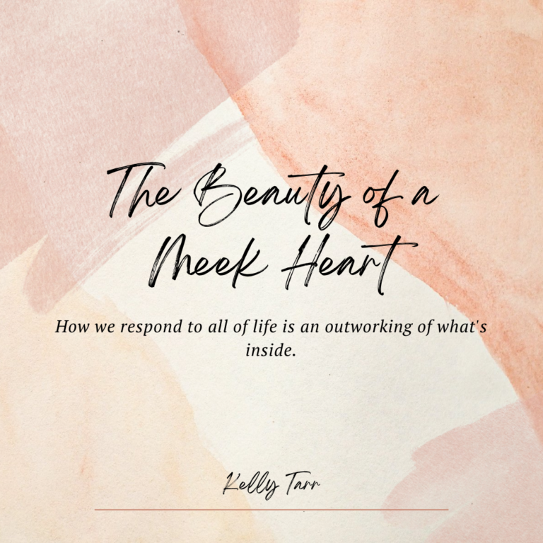 The Beauty of a Meek Heart